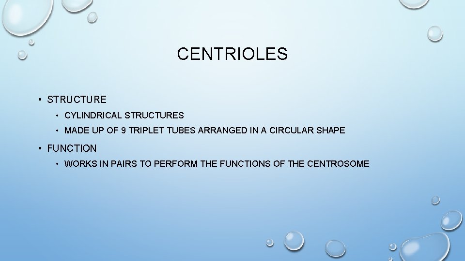 CENTRIOLES • STRUCTURE • CYLINDRICAL STRUCTURES • MADE UP OF 9 TRIPLET TUBES ARRANGED