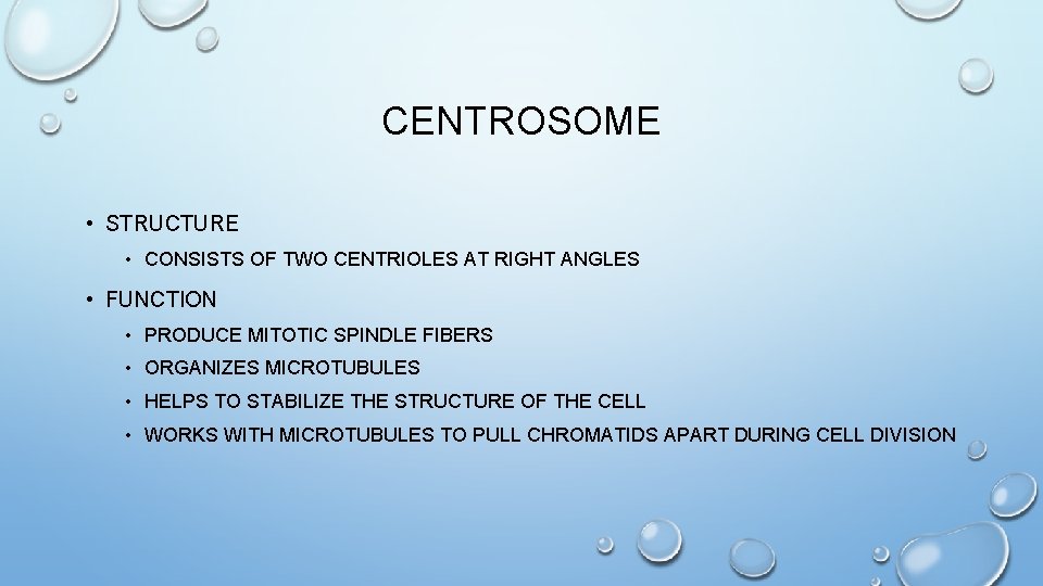 CENTROSOME • STRUCTURE • CONSISTS OF TWO CENTRIOLES AT RIGHT ANGLES • FUNCTION •