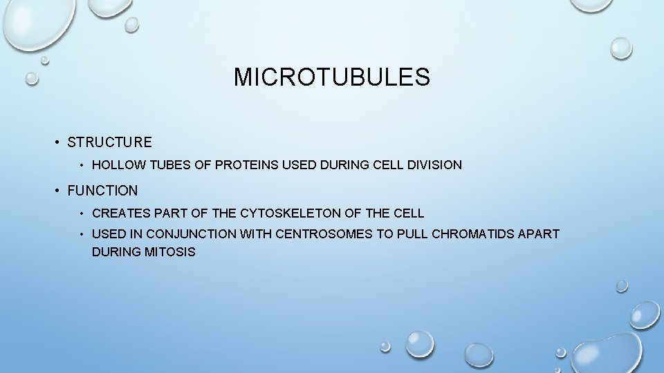MICROTUBULES • STRUCTURE • HOLLOW TUBES OF PROTEINS USED DURING CELL DIVISION • FUNCTION