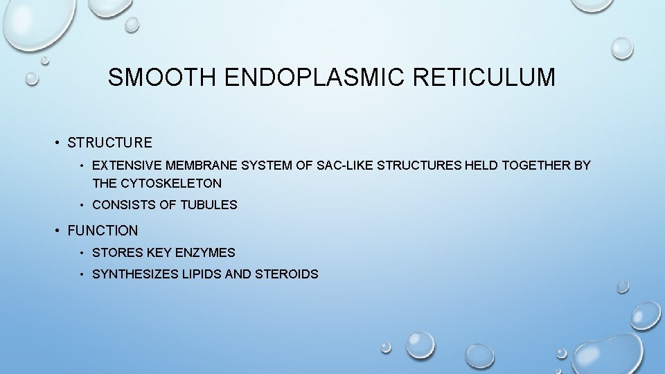 SMOOTH ENDOPLASMIC RETICULUM • STRUCTURE • EXTENSIVE MEMBRANE SYSTEM OF SAC-LIKE STRUCTURES HELD TOGETHER