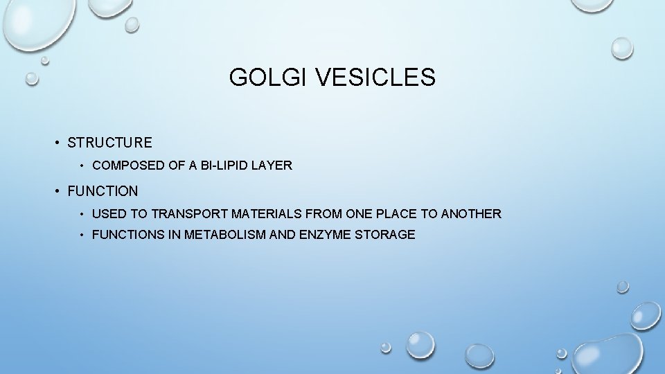 GOLGI VESICLES • STRUCTURE • COMPOSED OF A BI-LIPID LAYER • FUNCTION • USED