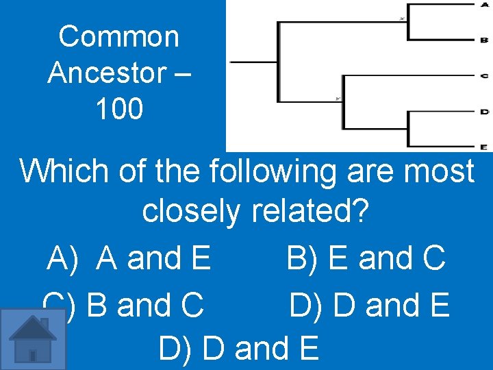 Common Ancestor – 100 Which of the following are most closely related? A) A