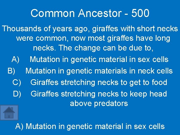 Common Ancestor - 500 Thousands of years ago, giraffes with short necks were common,