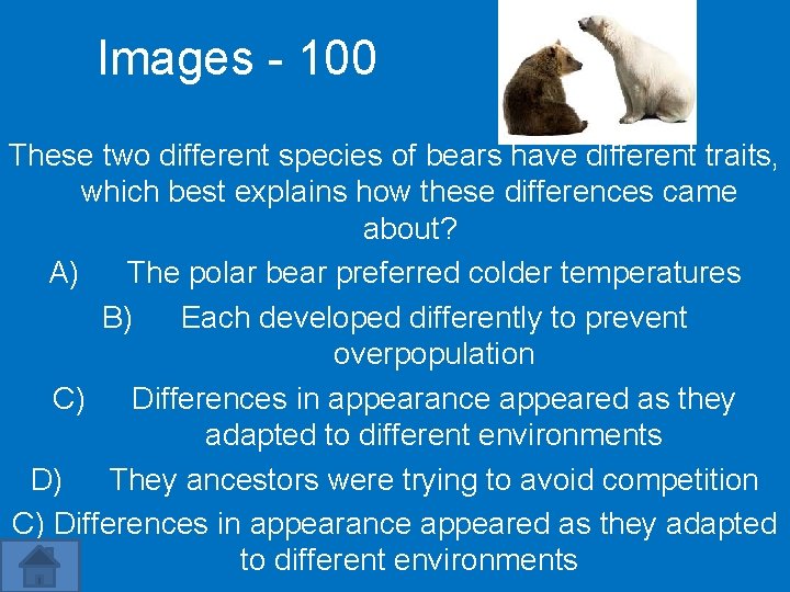 Images - 100 These two different species of bears have different traits, which best