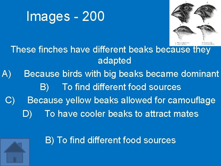 Images - 200 These finches have different beaks because they adapted A) Because birds