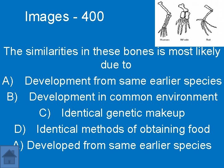 Images - 400 The similarities in these bones is most likely due to A)