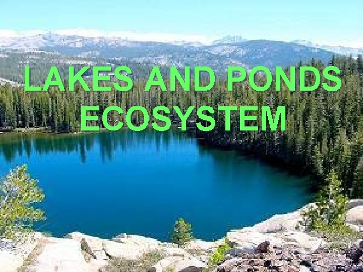 LAKES AND PONDS ECOSYSTEM 