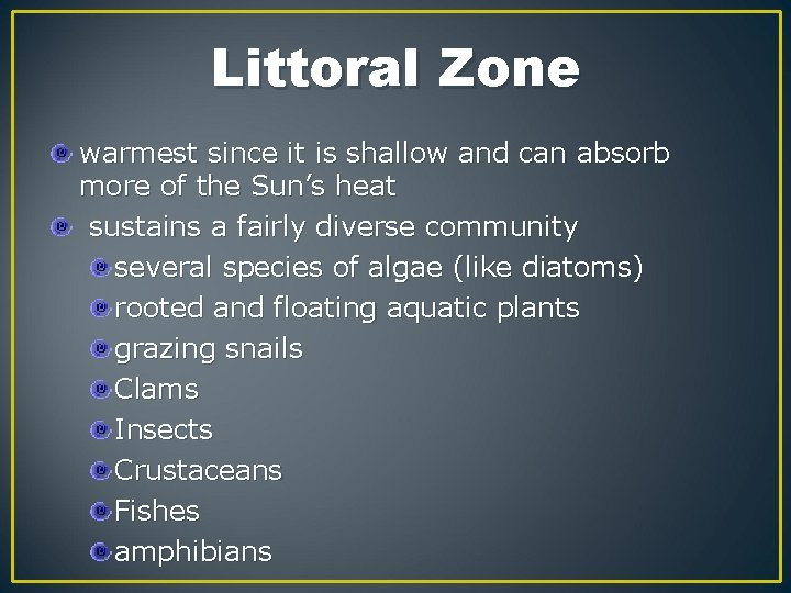 Littoral Zone warmest since it is shallow and can absorb more of the Sun’s
