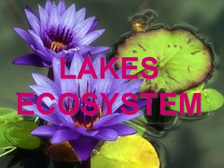 LAKES ECOSYSTEM 