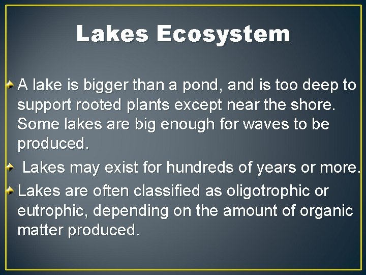 Lakes Ecosystem A lake is bigger than a pond, and is too deep to