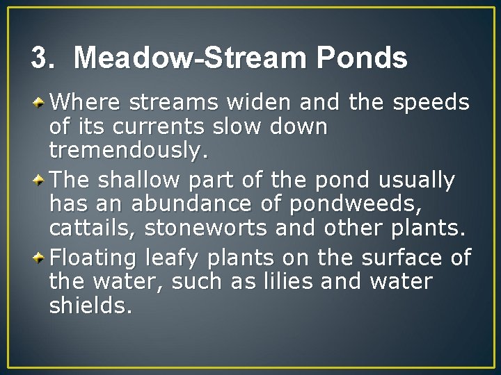 3. Meadow-Stream Ponds Where streams widen and the speeds of its currents slow down