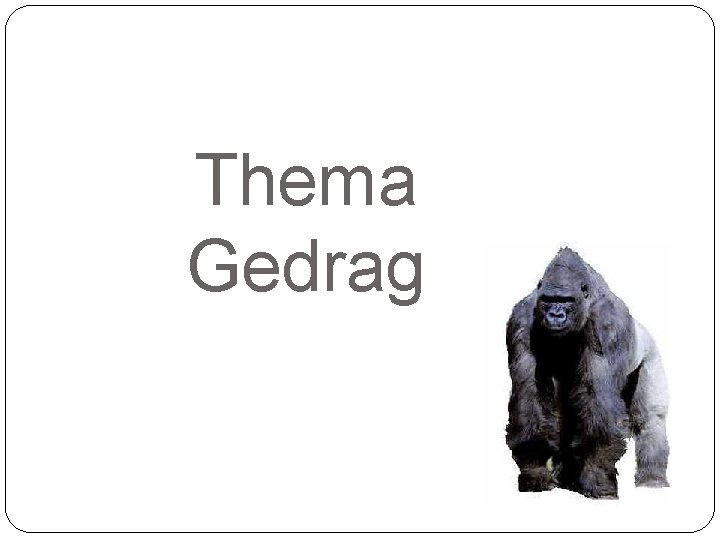 Thema Gedrag 