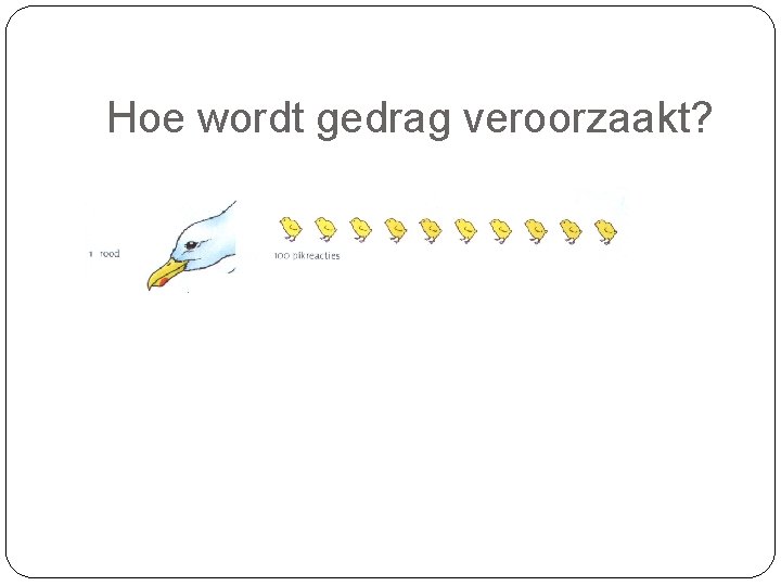 Hoe wordt gedrag veroorzaakt? 