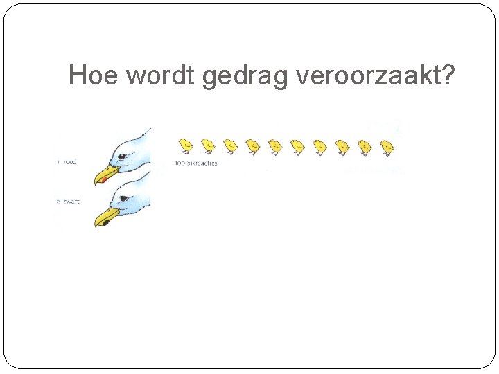 Hoe wordt gedrag veroorzaakt? 