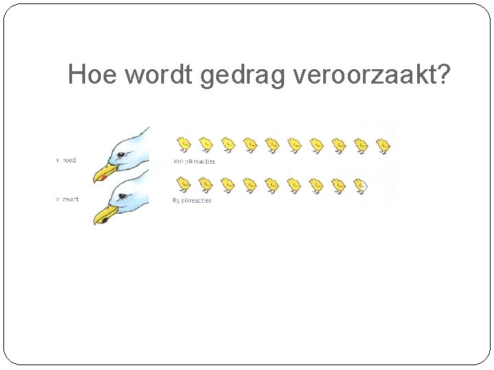 Hoe wordt gedrag veroorzaakt? 