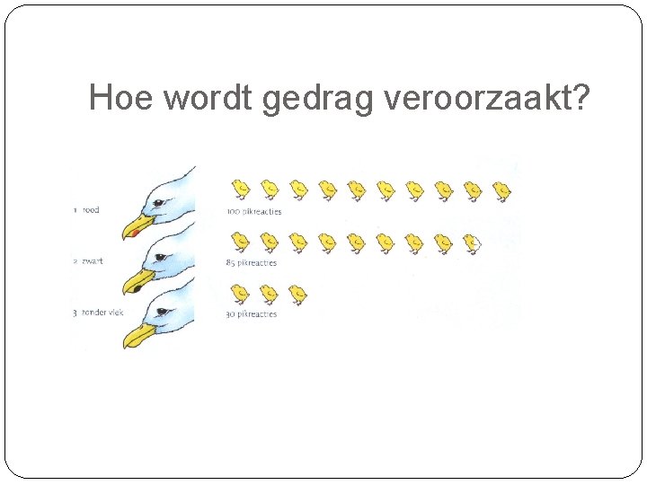 Hoe wordt gedrag veroorzaakt? 