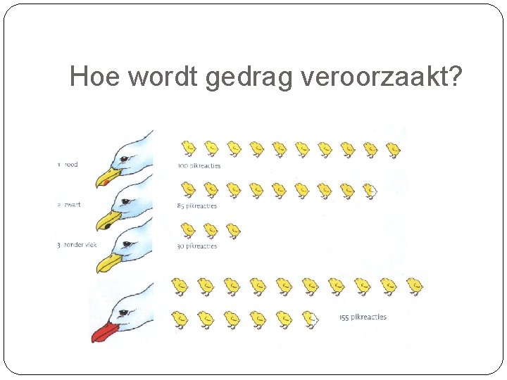 Hoe wordt gedrag veroorzaakt? 