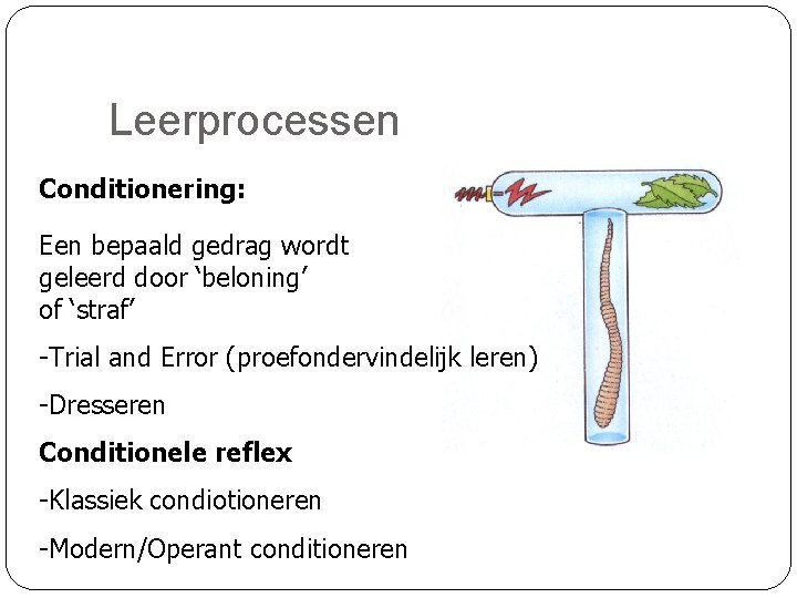 Leerprocessen Conditionering: Een bepaald gedrag wordt geleerd door ‘beloning’ of ‘straf’ -Trial and Error