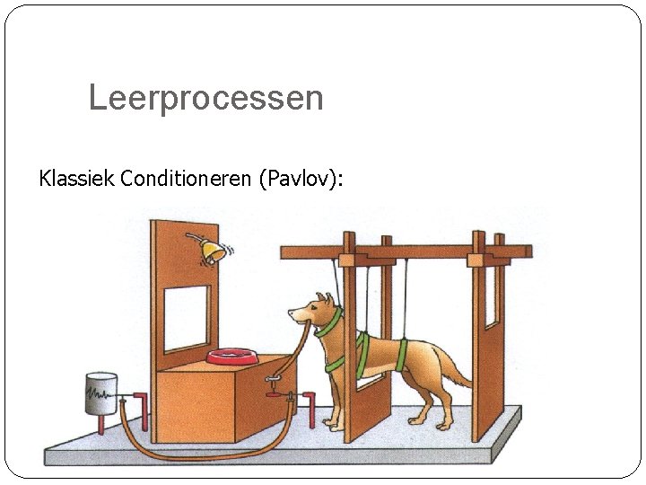 Leerprocessen Klassiek Conditioneren (Pavlov): Een prikkel veroorzaakt een bepaald gedrag dat oorspronkelijk niet door