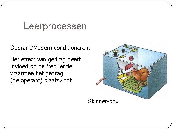 Leerprocessen Operant/Modern conditioneren: Het effect van gedrag heeft invloed op de frequentie waarmee het