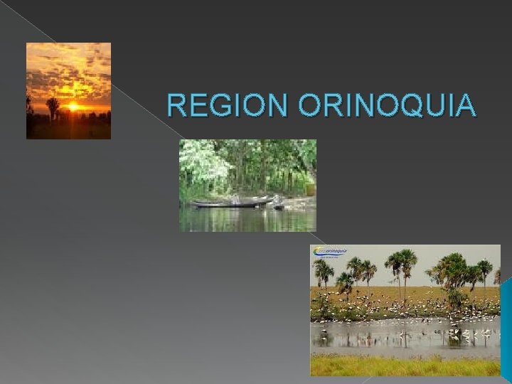 REGION ORINOQUIA 