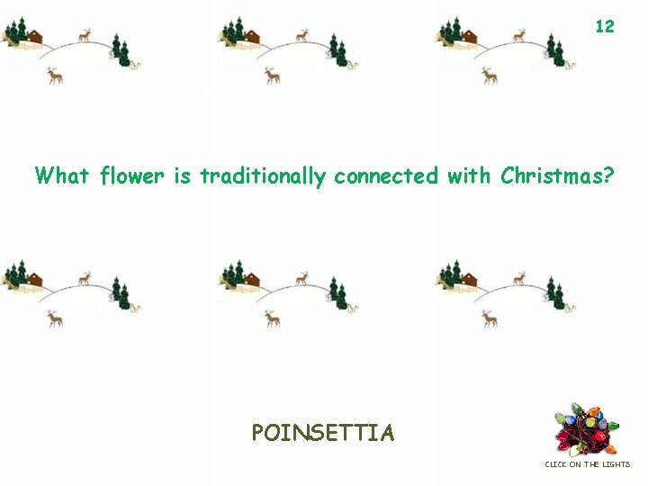 12 What flower is traditionally connected with Christmas? POINSETTIA CLICK ON THE LIGHTS 