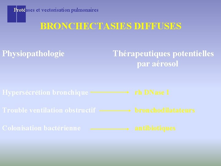 Protéases et vectorisation pulmonaires BRONCHECTASIES DIFFUSES Physiopathologie Thérapeutiques potentielles par aérosol Hypersécrétion bronchique rh