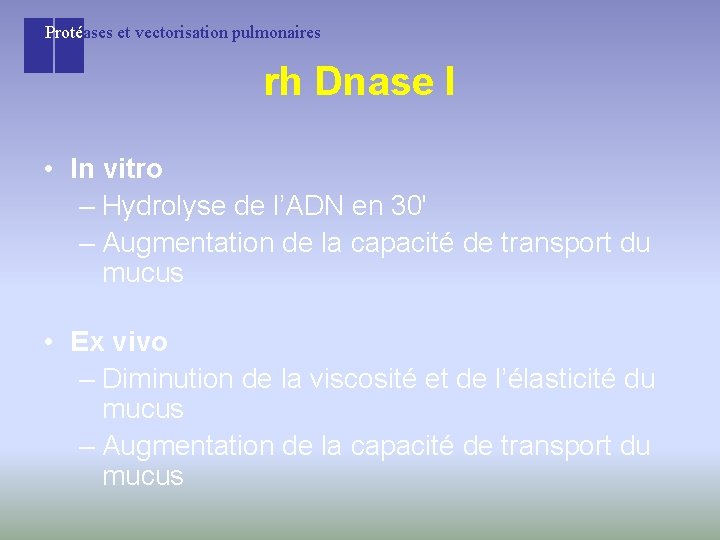 Protéases et vectorisation pulmonaires rh Dnase I • In vitro – Hydrolyse de l’ADN