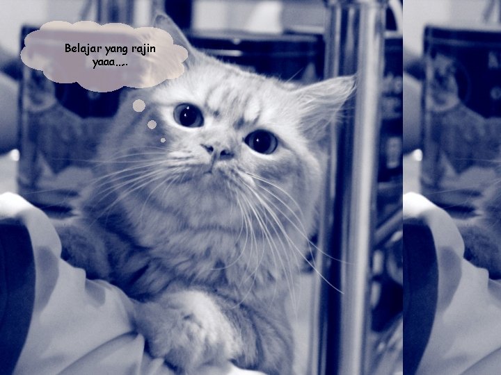 Belajar yang rajin yaaa…. . 