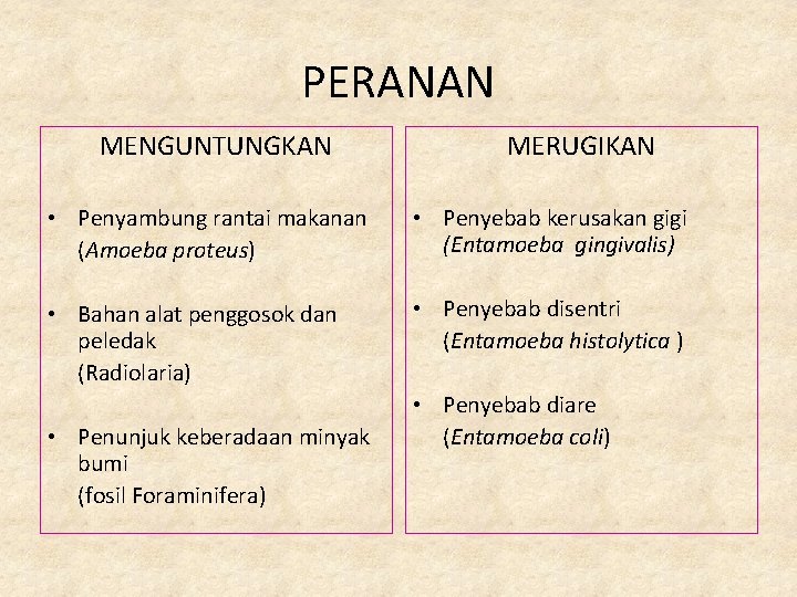 PERANAN MENGUNTUNGKAN MERUGIKAN • Penyambung rantai makanan (Amoeba proteus) • Penyebab kerusakan gigi (Entamoeba