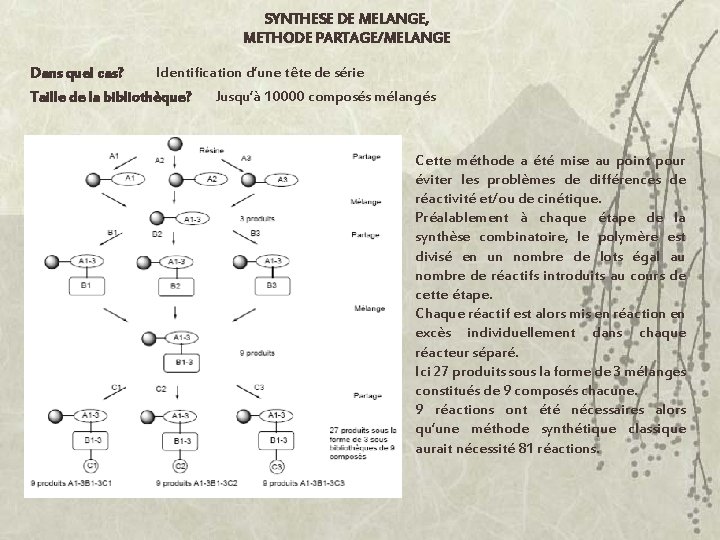 SYNTHESE DE MELANGE, METHODE PARTAGE/MELANGE Dans quel cas? Identification d’une tête de série Taille