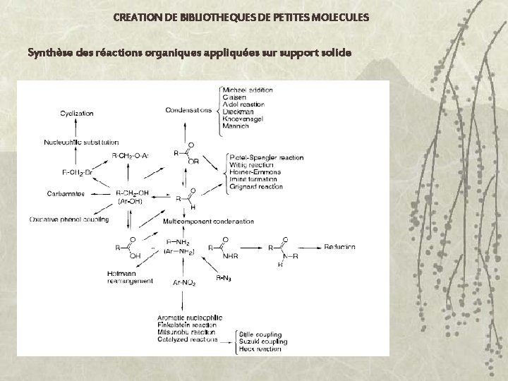 CREATION DE BIBLIOTHEQUES DE PETITES MOLECULES Synthèse des réactions organiques appliquées sur support solide