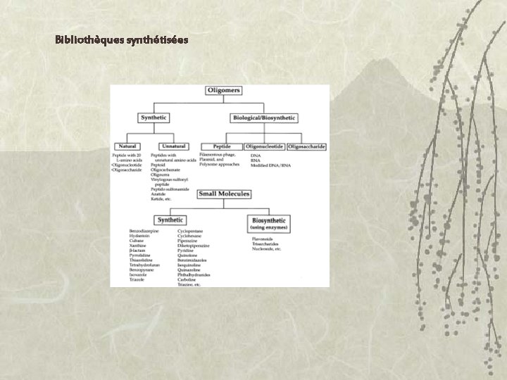 Bibliothèques synthétisées 