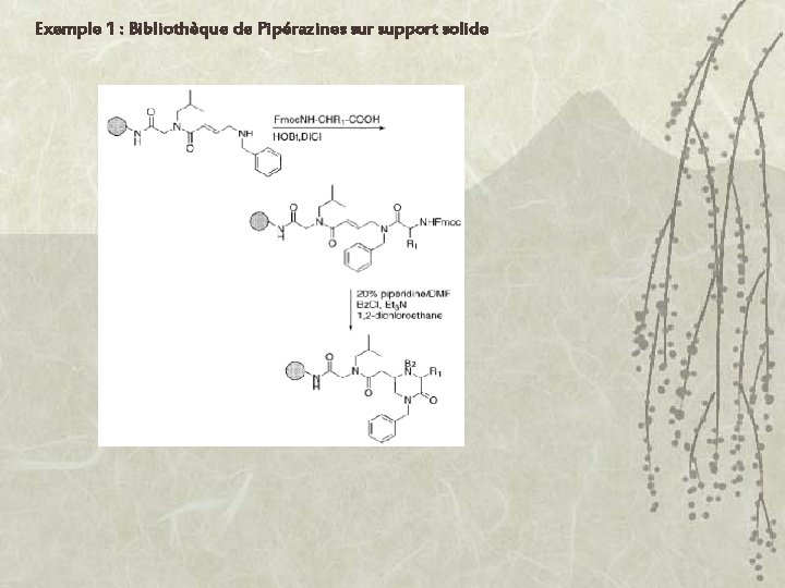 Exemple 1 : Bibliothèque de Pipérazines sur support solide 