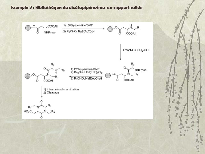 Exemple 2 : Bibliothèque de dicétopipérazines sur support solide 