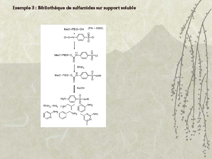 Exemple 3 : Bibliothèque de sulfamides sur support soluble 