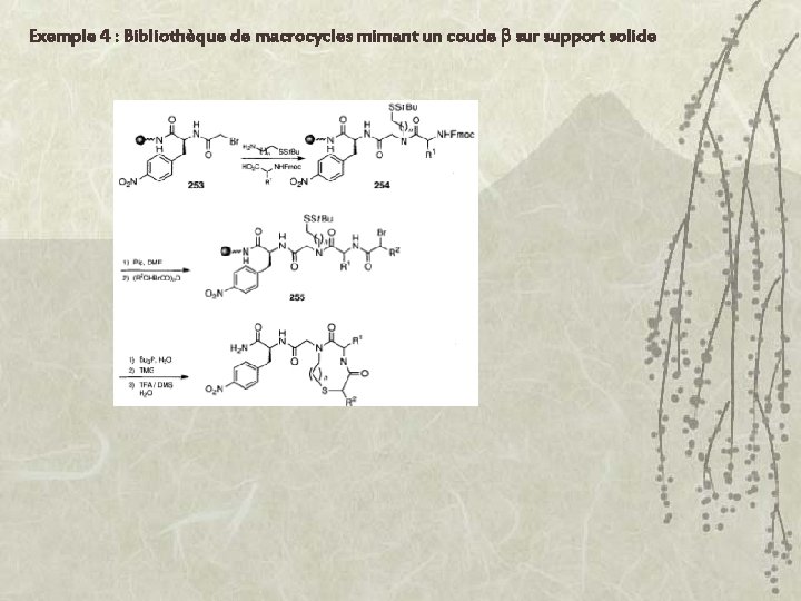 Exemple 4 : Bibliothèque de macrocycles mimant un coude sur support solide 