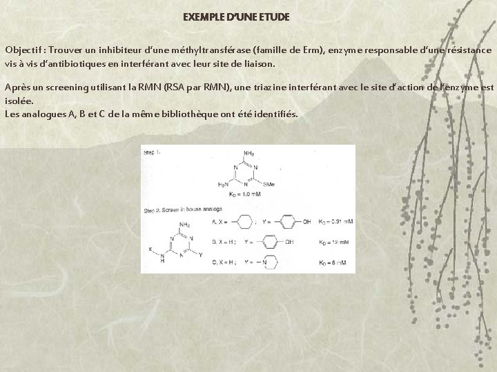 EXEMPLE D’UNE ETUDE Objectif : Trouver un inhibiteur d’une méthyltransférase (famille de Erm), enzyme