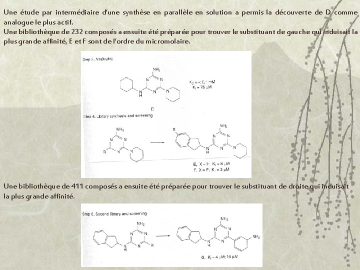 Une étude par intermédiaire d’une synthèse en parallèle en solution a permis la découverte