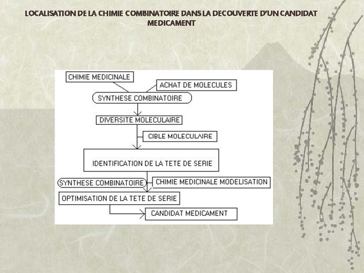 LOCALISATION DE LA CHIMIE COMBINATOIRE DANS LA DECOUVERTE D’UN CANDIDAT MEDICAMENT 