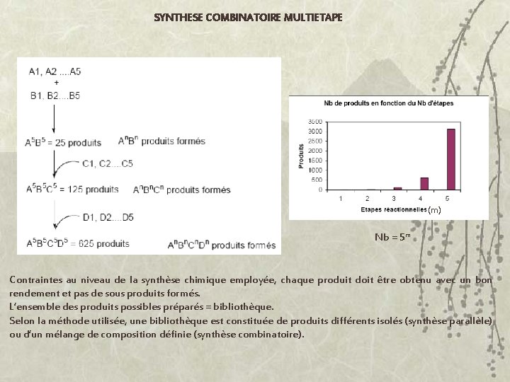 SYNTHESE COMBINATOIRE MULTIETAPE (m) Nb = 5 m Contraintes au niveau de la synthèse