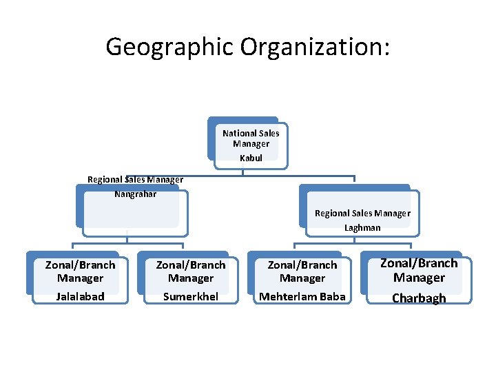 Geographic Organization: National Sales Manager Kabul Regional Sales Manager Nangrahar Regional Sales Manager Laghman