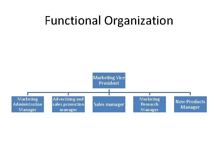 Functional Organization Marketing Vice President Marketing Administration Manager Advertising and sales promotion manager Sales
