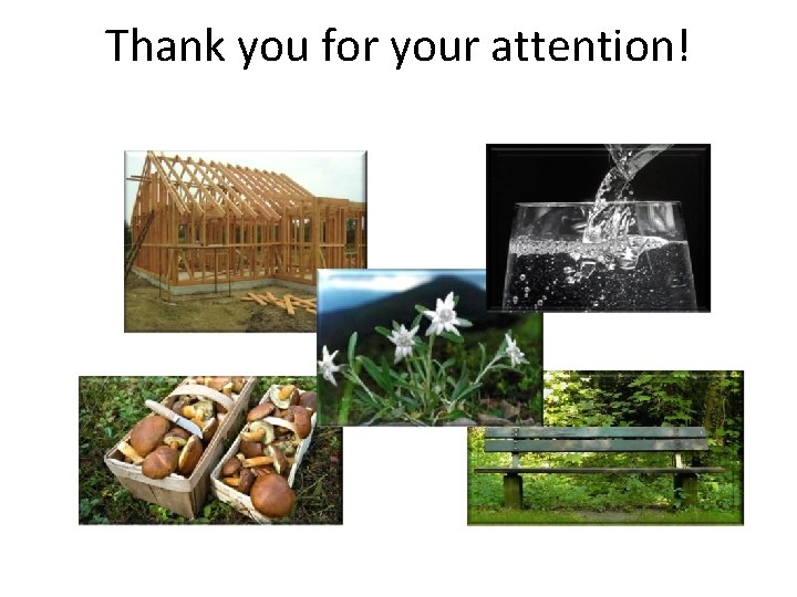 Thank you for your attention! 