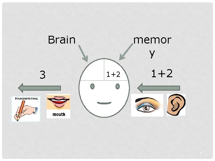 memor y Brain 3 1+2 5 