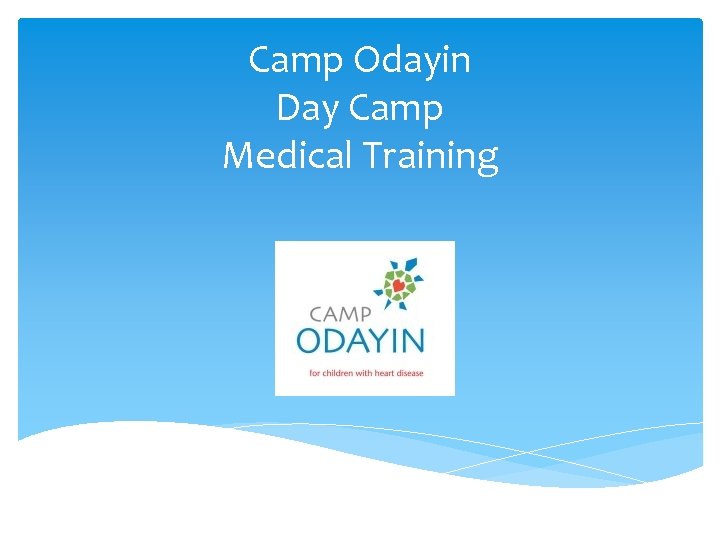 Camp Odayin Day Camp Medical Training 