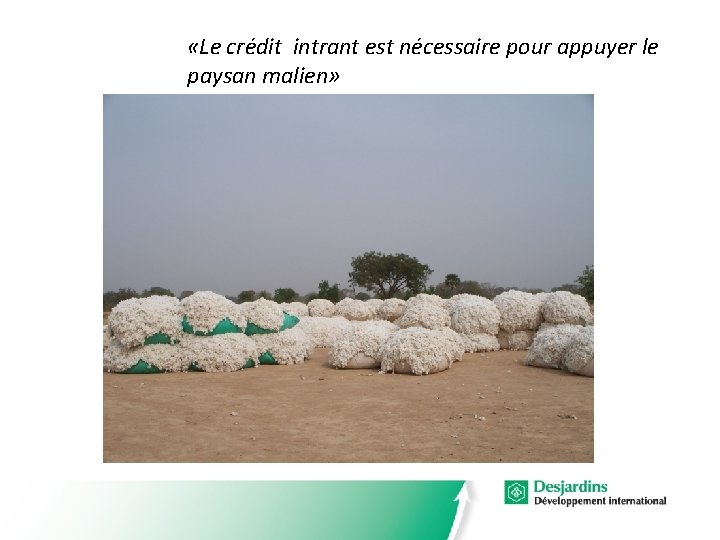  «Le crédit intrant est nécessaire pour appuyer le paysan malien» 