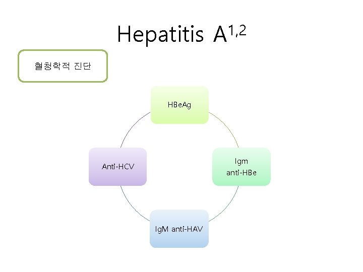 Hepatitis A 1, 2 혈청학적 진단 HBe. Ag Igm anti-HBe Anti-HCV Ig. M anti-HAV