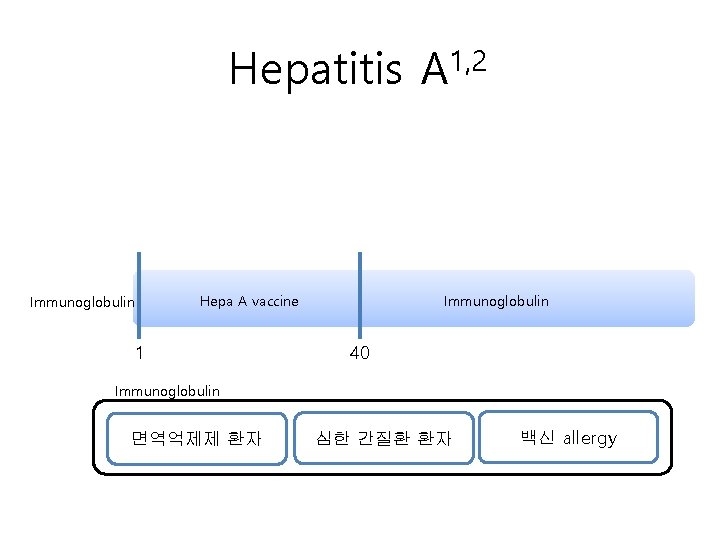 Hepatitis Immunoglobulin Hepa A vaccine 1 1, 2 A Immunoglobulin 40 Immunoglobulin 면역억제제 환자