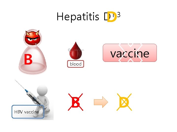 1, 3 Hepatitis DD B HBV vaccine blood B D 
